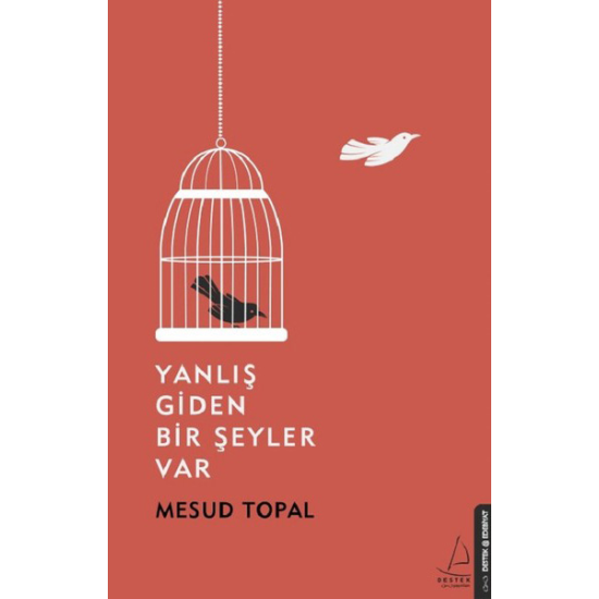 Yanlış Giden Bir Şeyler Var