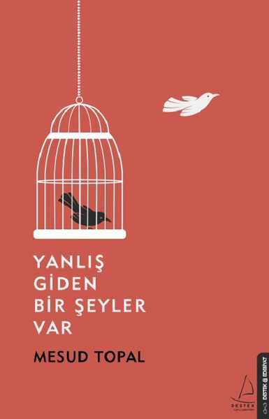 Yanlış Giden Bir Şeyler Var
